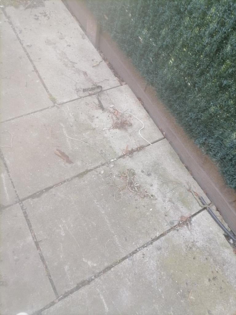 Gratis 20 m2, Tuin en Terras, Tegels en Klinkers, Ophalen of Verzenden, Gebruikt