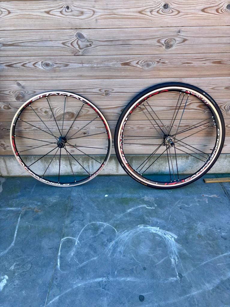 Campagnolo shamal, Fietsen en Brommers, Ophalen, Zo goed als nieuw, Wiel