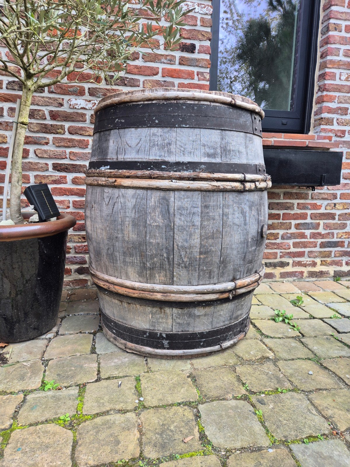 Baril en bois Rain Barrel Wine Barrel, Jardin & Terrasse, Enlèvement