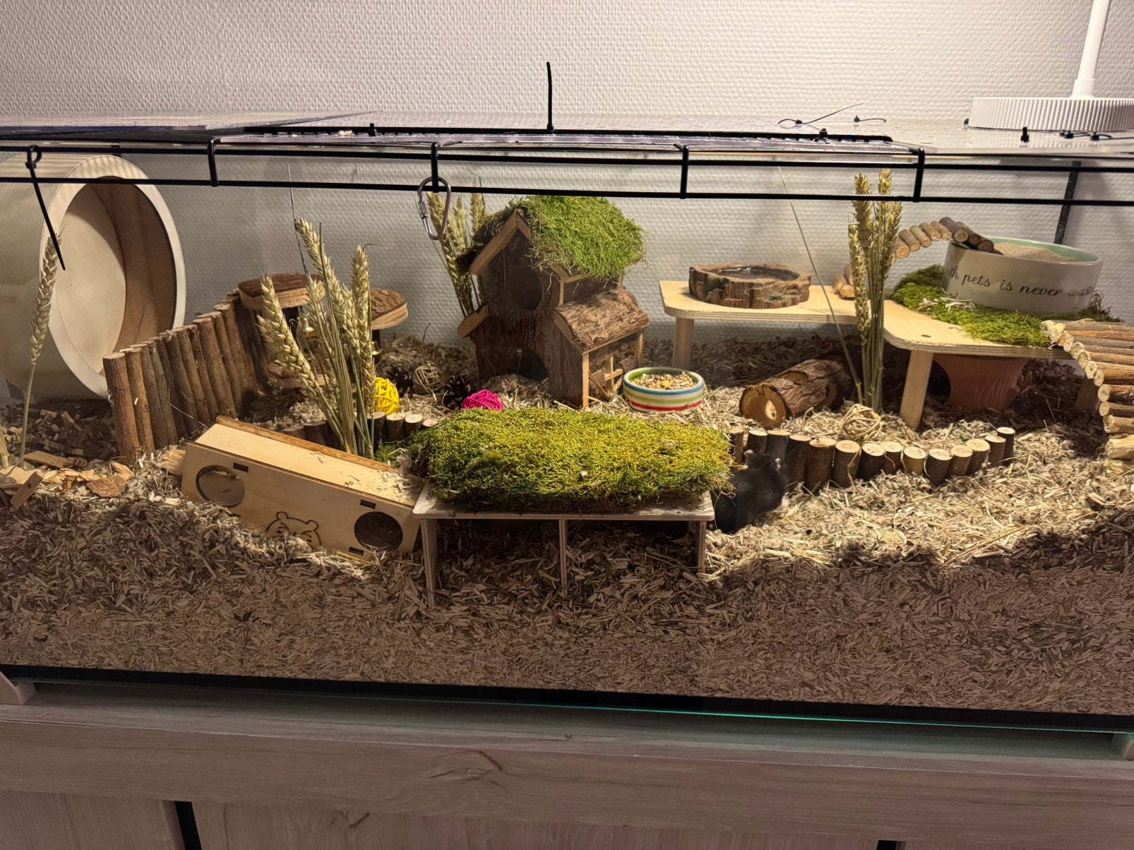 Hamsterkooi, Ophalen, Zo goed als nieuw