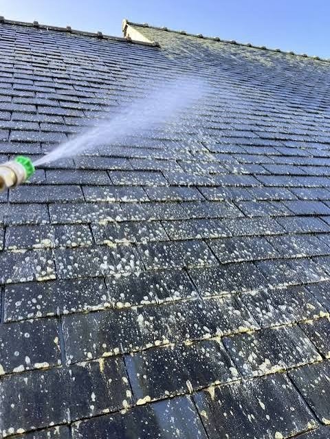 DÉMOUSSAGE & NETTOYAGE DE TOITURE – TERRASSE – FAÇADE, Enlèvement ou Envoi