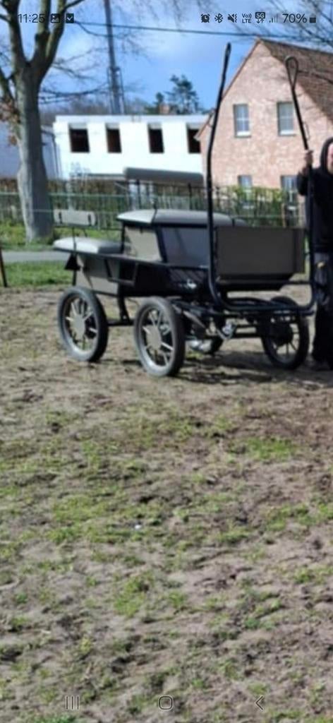 Enkelspan + extra lamoen voor brede paarden + tuig