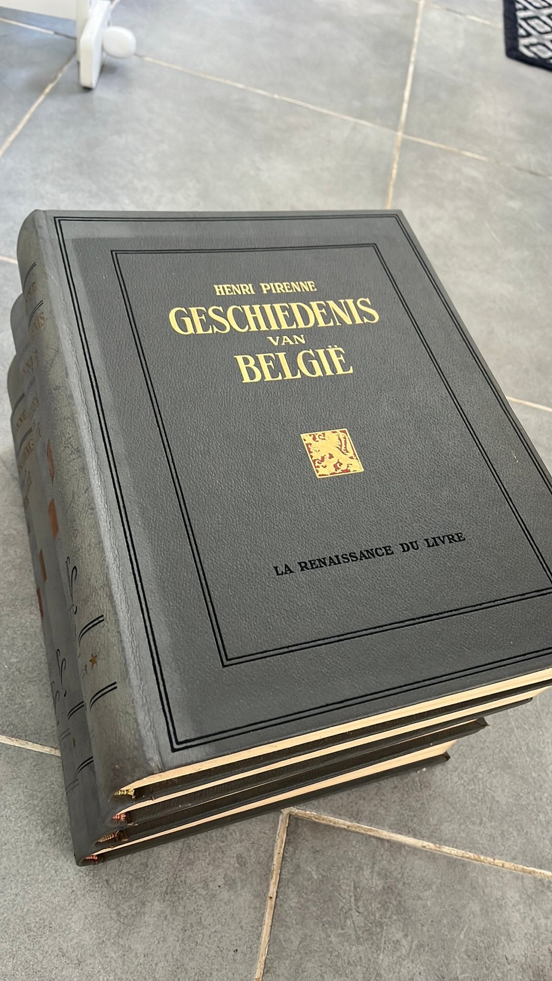 Geschiedenis van Belgie Henri Pirenne, Enlèvement
