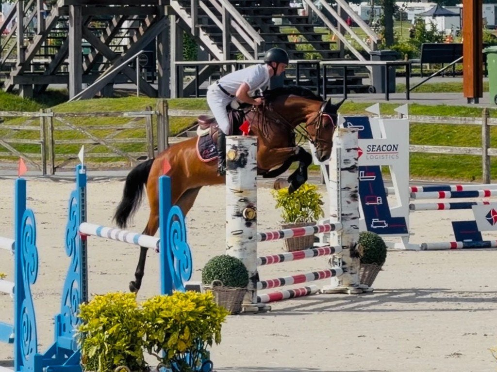 Fijne allrounder, Dieren en Toebehoren, Merrie, Springpaard, 3 tot 6 jaar, 160 tot 165 cm