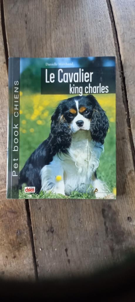 Chiens - Le Cavalier King Charles - 143 pages, Envoi, Comme neuf, Danielle Marchand