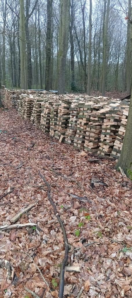 Bois de chauffage, Ophalen of Verzenden