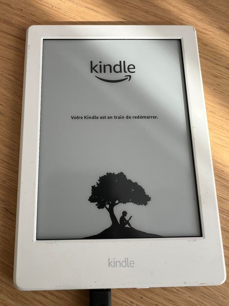 Liseuse kindle, Informatique & Logiciels, Enlèvement, Utilisé
