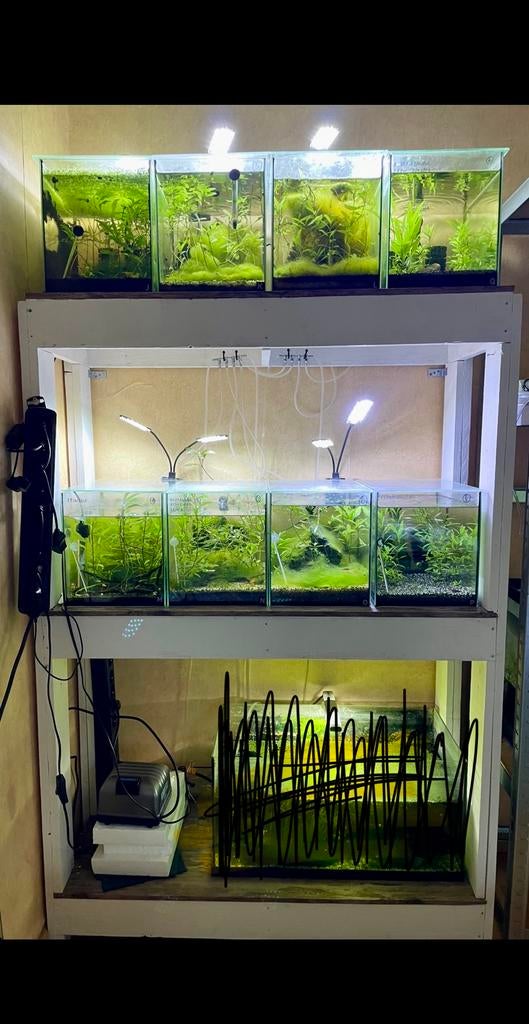 Aquarium stelling (10 aquariums van 20L), Dieren en Toebehoren, Vissen | Aquaria en Toebehoren, Gebruikt, Leeg aquarium, Ophalen