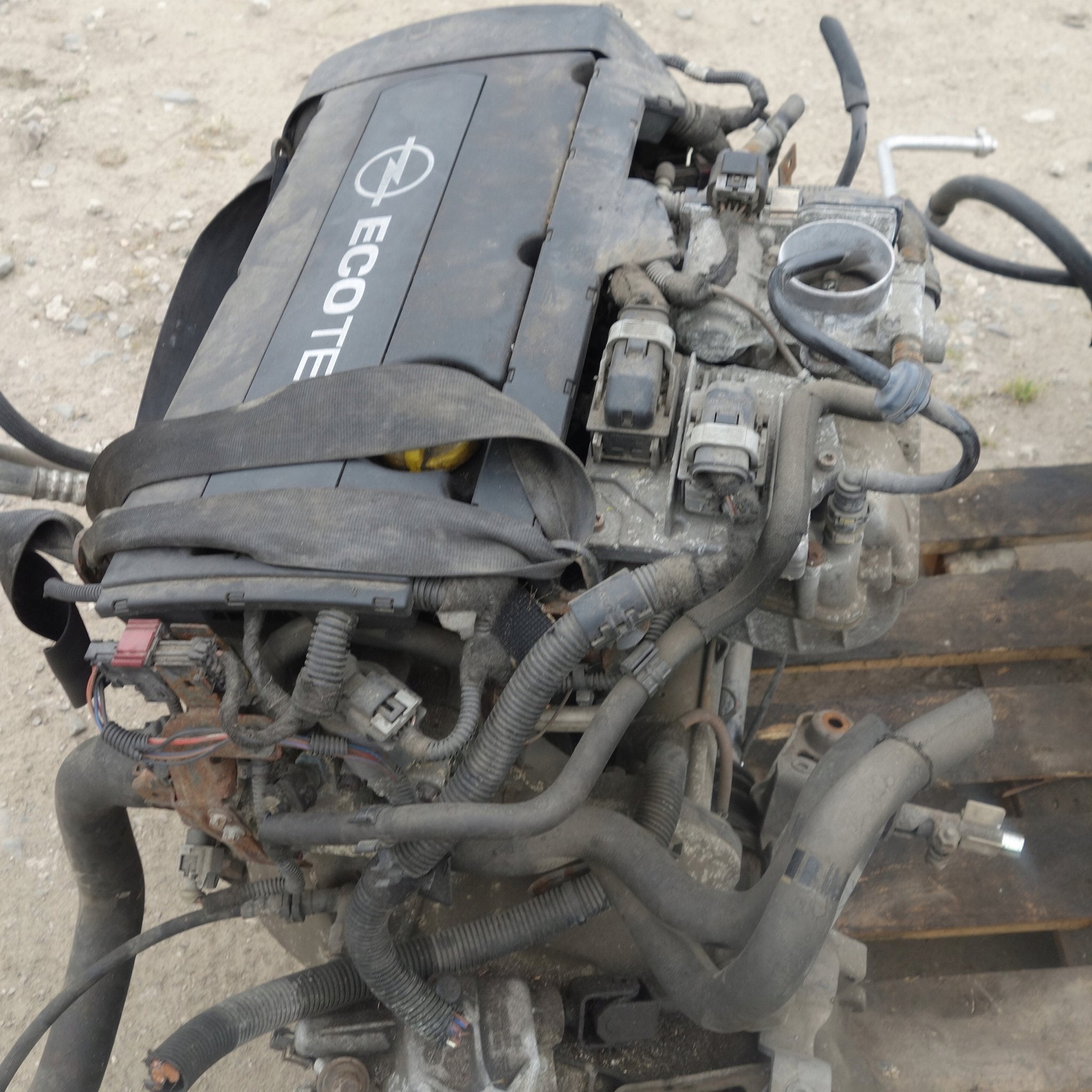 Moteur Z16XEP Complet ASTRA OPEL VECTRA MERIVA, Envoi, Utilisé, Daihatsu