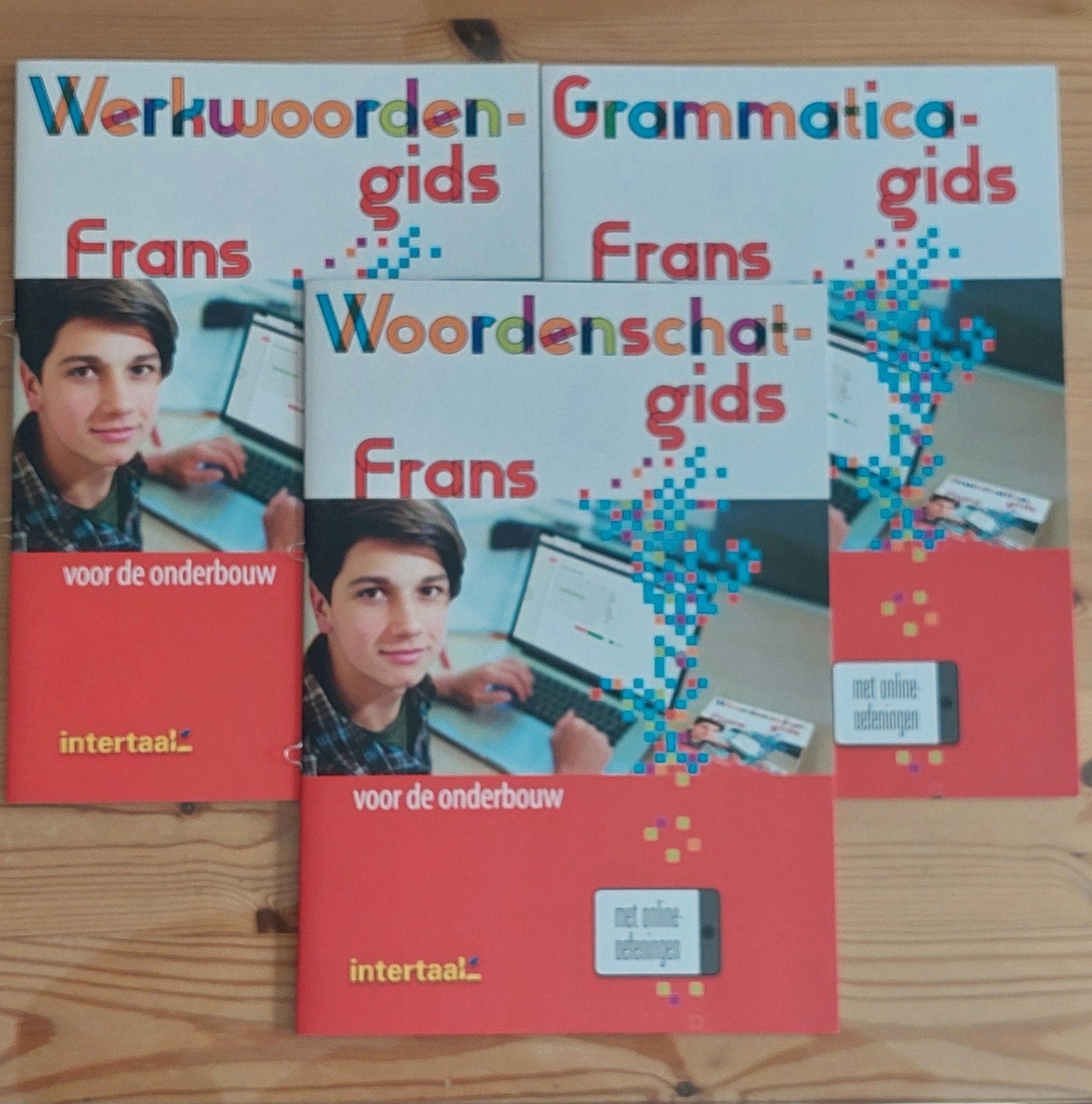 Intertaal- Frans: grammatica-, werkwoorden-, woordenschatgid, Boeken, Schoolboeken, Ophalen of Verzenden, Frans, Roos