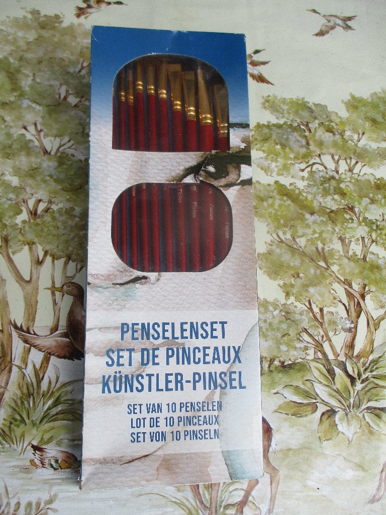 Set van 10 Penselen, Hobby en Vrije tijd, Schilderen, Ophalen of Verzenden, Nieuw, Acrylverf