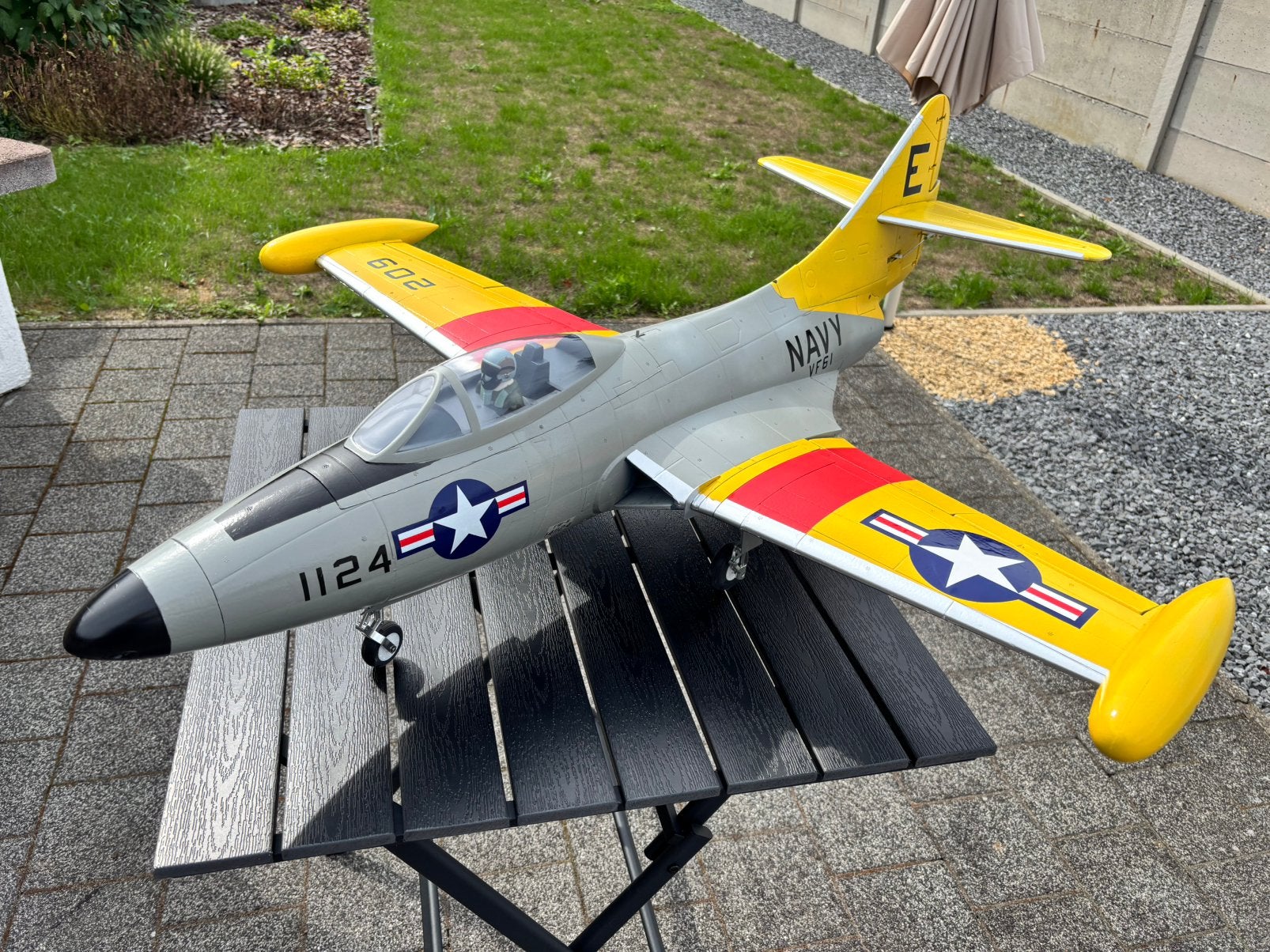 Freewing Panther, Enlèvement, Neuf