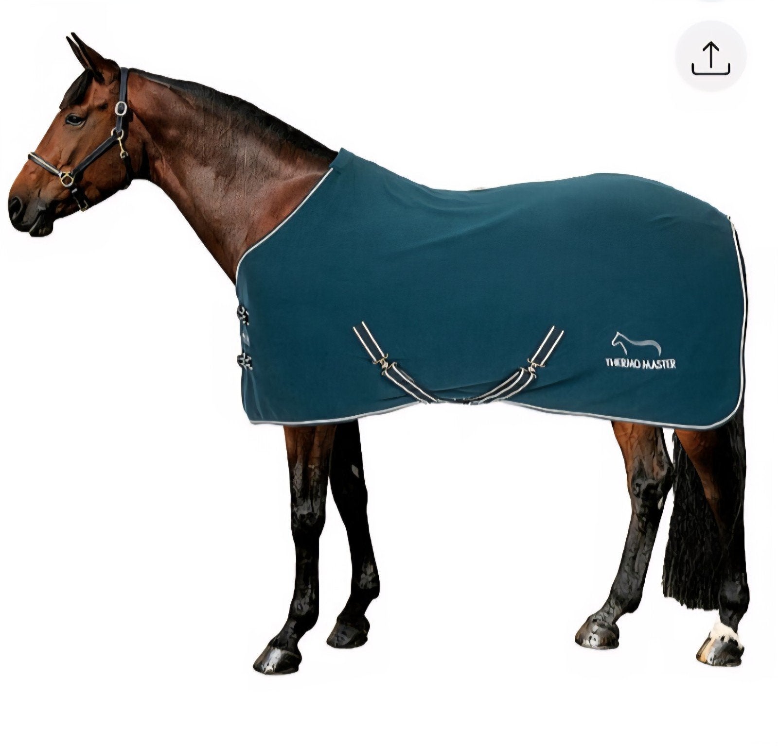 Couverture de box polaire taille 145, Dieren en Toebehoren, Paarden en Pony's | Dekens en Dekjes