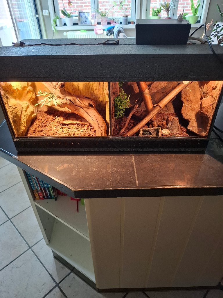 Terrarium, Dieren en Toebehoren, Ophalen, Gebruikt