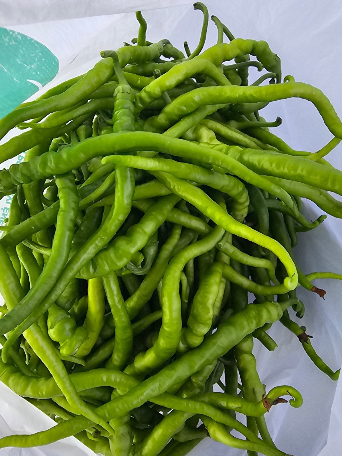 Piment vert, Tuin en Terras, Bloembollen en Zaden, Ophalen