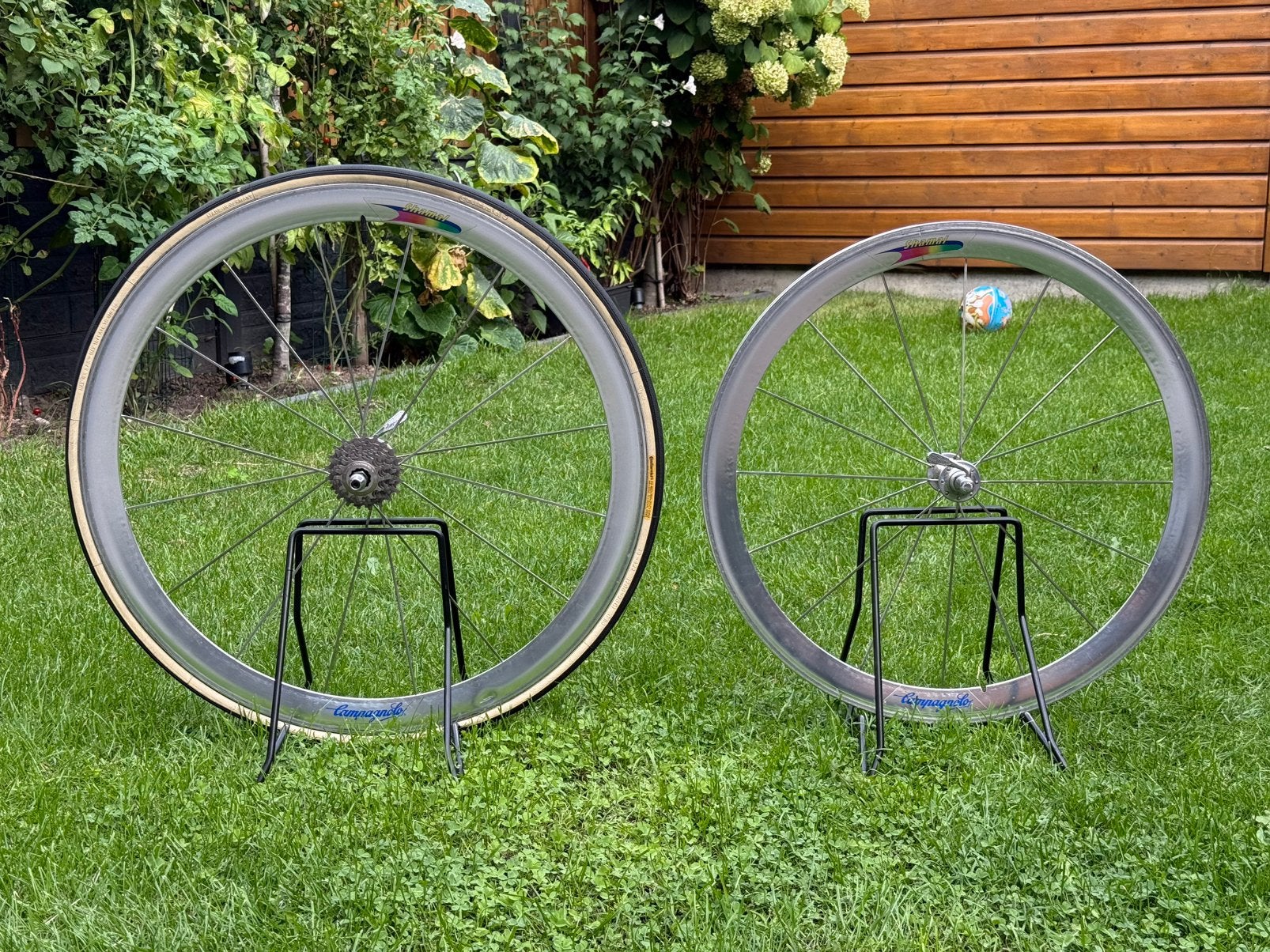 Campagnolo Shamal | 650C/ 700C | tijdrit wielset, Fietsen en Brommers, Ophalen, Gebruikt, Tijdrit-/triatlonfiets, Wiel