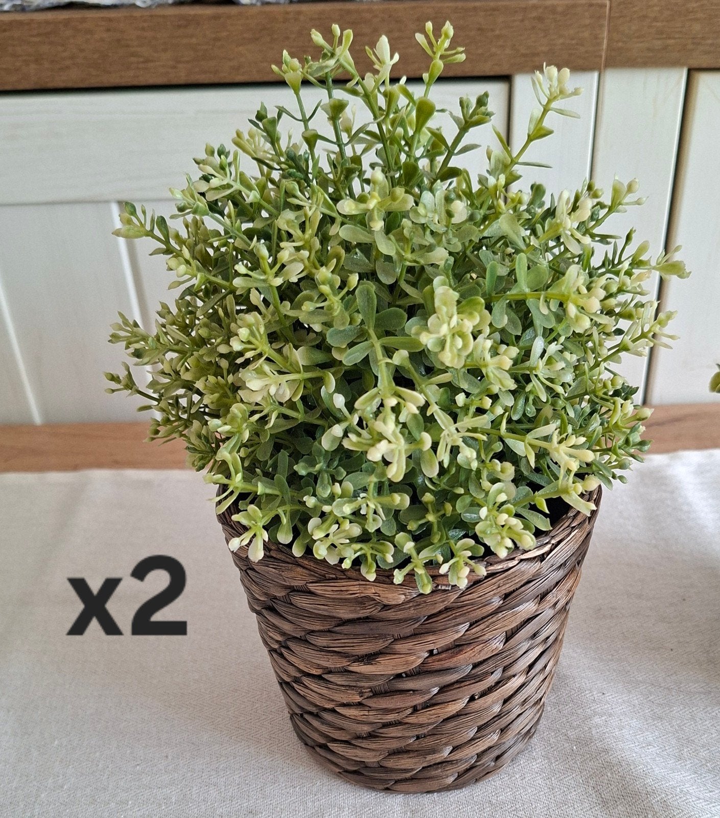Plantjes in kunststof met sierpot, Ophalen