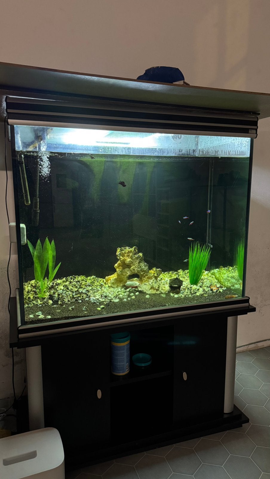 Aquarium, Dieren en Toebehoren, Ophalen of Verzenden, Zo goed als nieuw, Decoratie