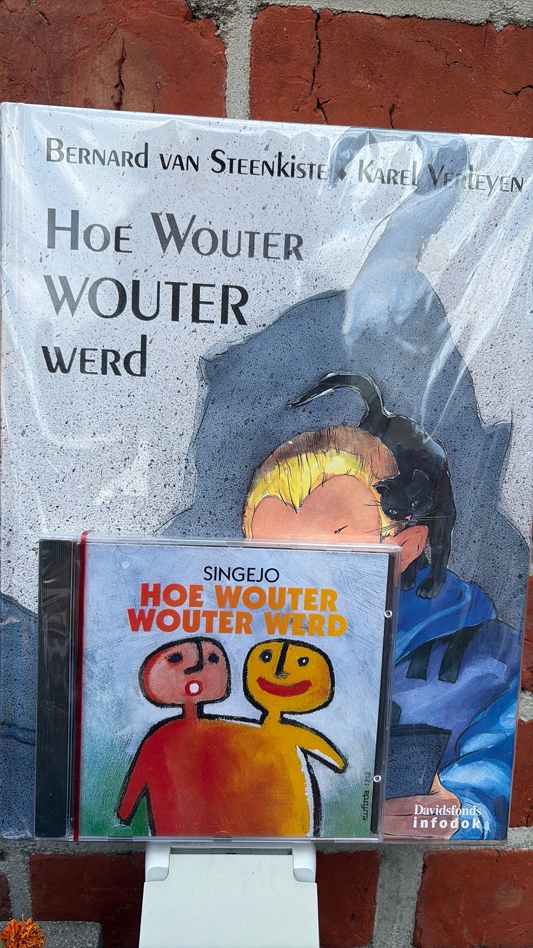 G. Schelstraete - Hoe Wouter Wouter werd, Enlèvement, Neuf, G. Schelstraete; B. van Steenkiste; K. Verleyen