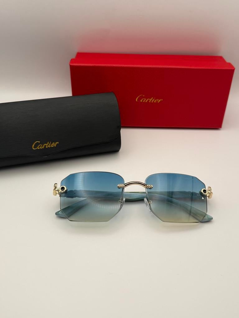 Cartier zonnebril met koker en dushbag, Handtassen en Accessoires, Zonnebrillen en Brillen | Heren, Ophalen of Verzenden, Nieuw