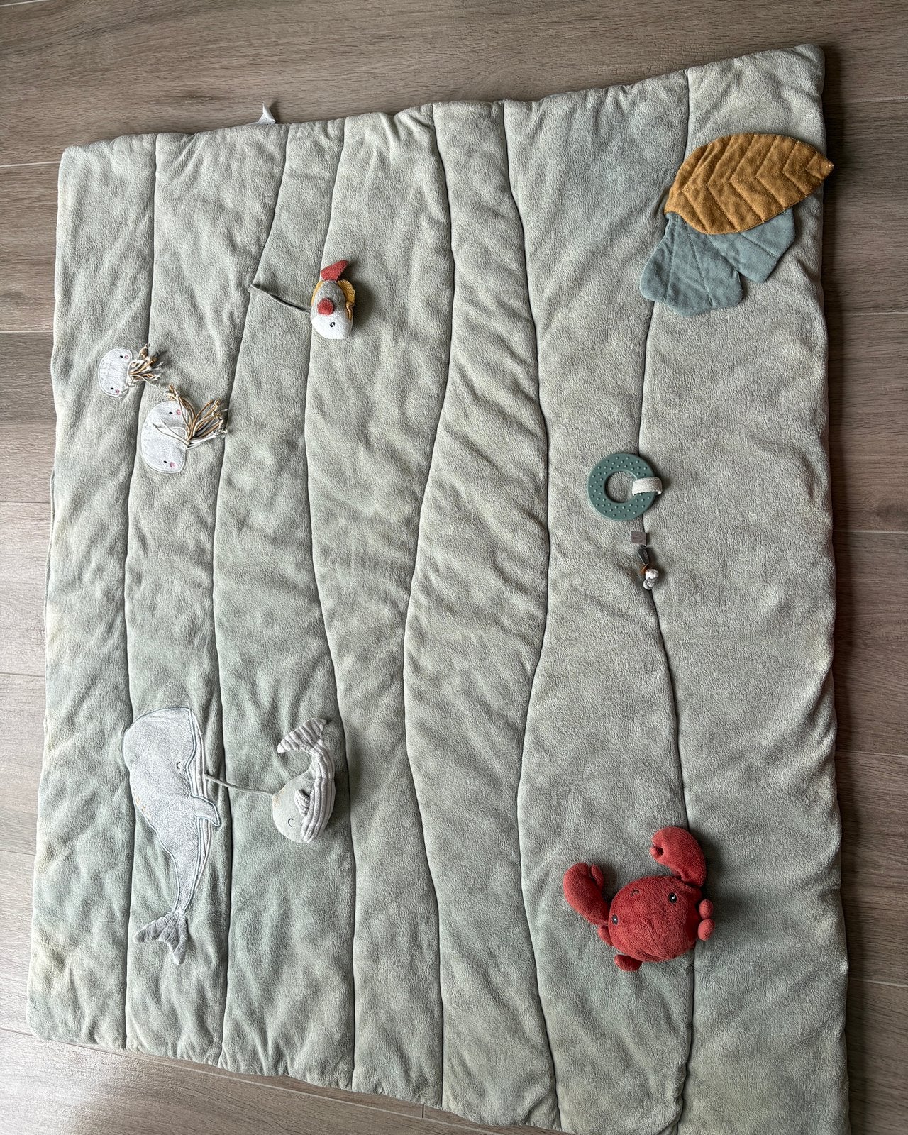 Little Dutch Baby Speelmat – Zachte Activiteitenmat, Ophalen, Gebruikt