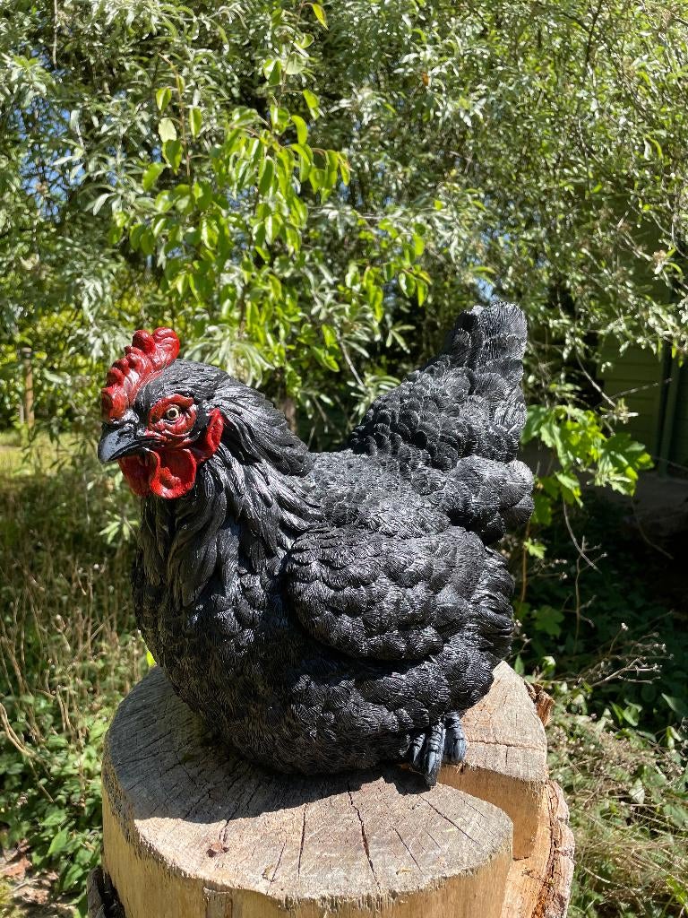 Beeld kip, tuin, vijver, gazon, boerderij 40cm, Ophalen, Nieuw, Kunststof, Dierenbeeld