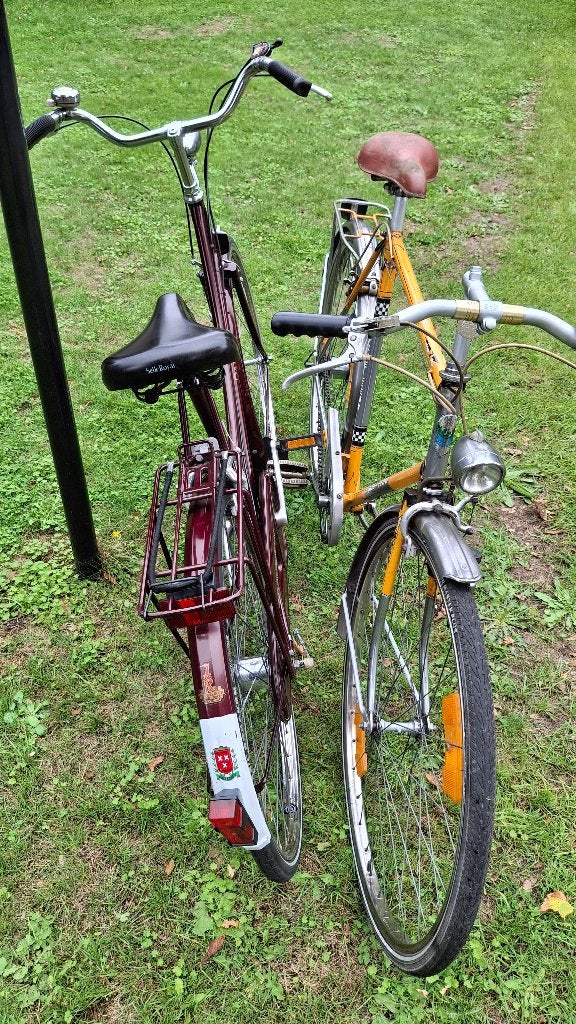 GROTE goede retro RODE LEEUW herenfiets SA3v. alles in orde, Vitesses, Frein sur jante, 57 à 61 cm, Enlèvement