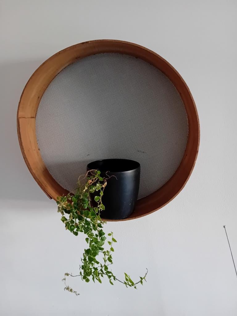 Decoration avec  plante verte, Jardin & Terrasse, Enlèvement ou Envoi
