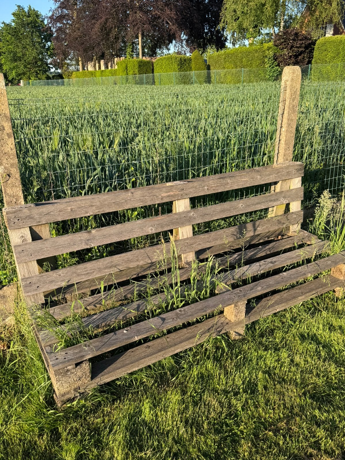 Pallet bank, Ophalen, Gebruikt