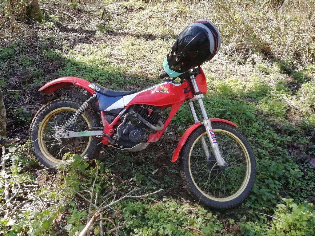 Honda TLR 200, Motoren, Gebruikt, Particulier, Enduro, 200 cc