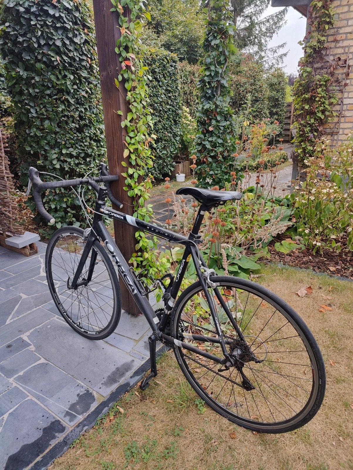 koersfiets ORBEA, Enlèvement