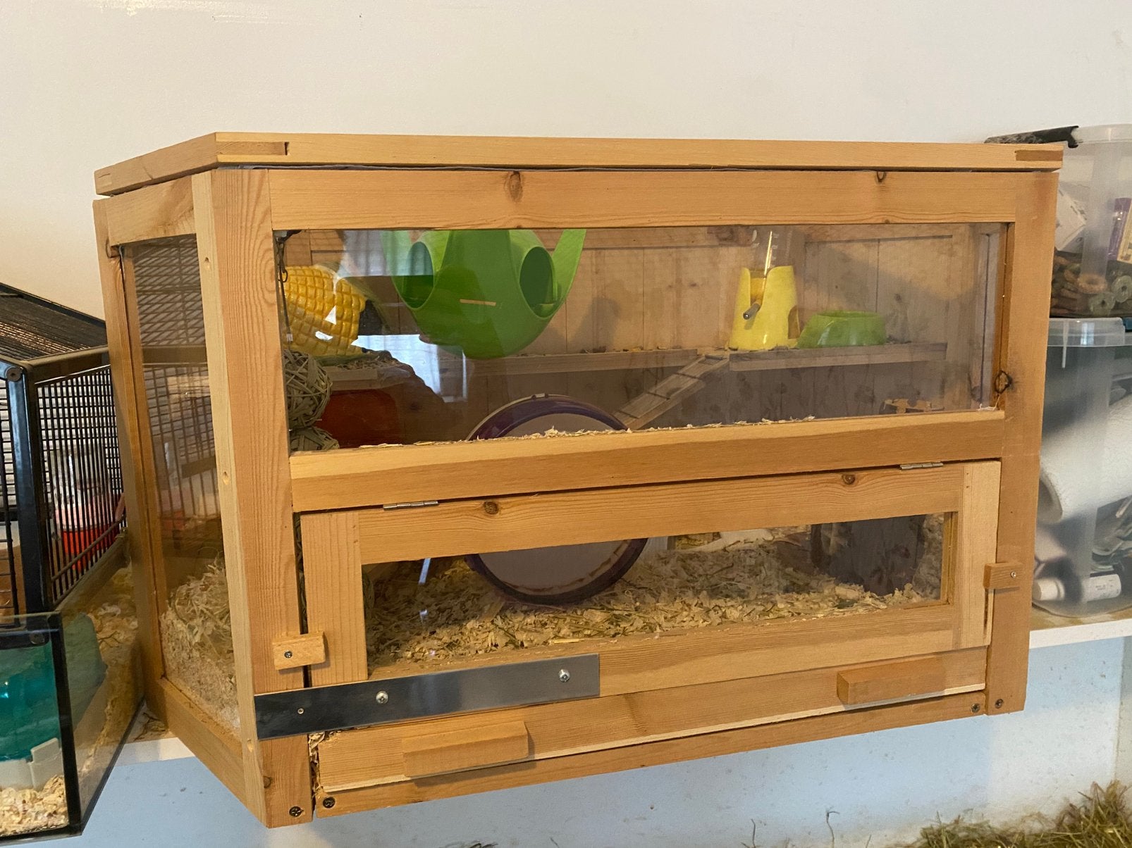 Russische dwerghamster met hok, Dieren en Toebehoren, Hamster, Vrouwelijk, Januari, Tam