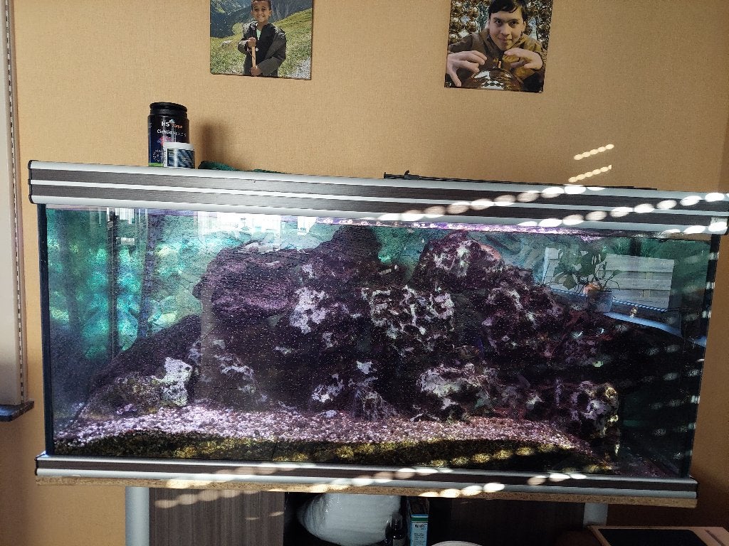 Aquarium 450 l, 150 x 60 x 48 incl meubel en LED verlichting, Dieren en Toebehoren, Ophalen, Gebruikt, Leeg aquarium, Aquatlantis