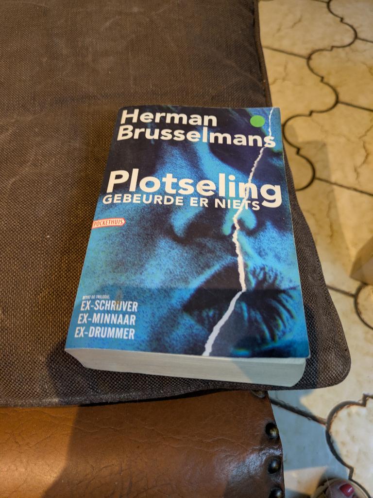 Plotseling gebeurde er niets, Boeken, Gelezen, België, Herman Brusselmans, Ophalen of Verzenden