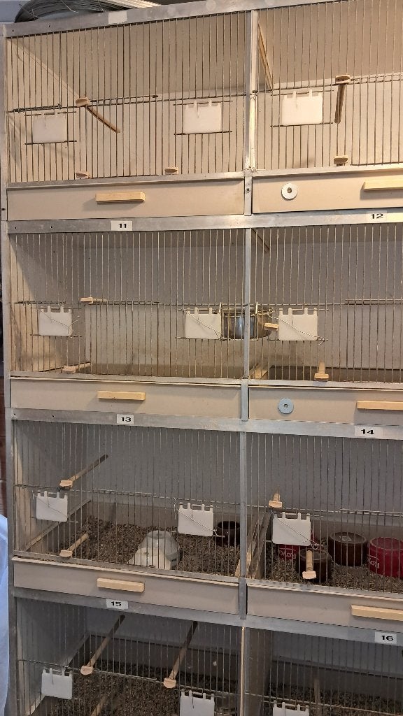 gehu   kweekbakken  toren van 6st, Animaux & Accessoires, Oiseaux | Cages & Volières, Bois, Enlèvement
