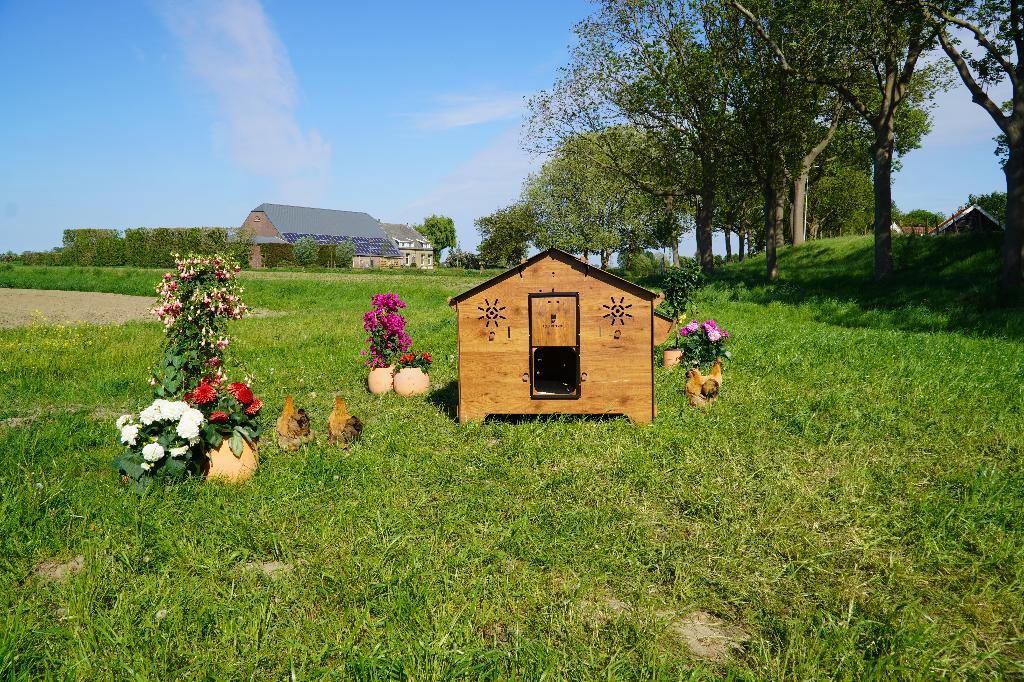 Trespa Kippenhok Cucciolotta | Farm Evolution 3XL, Enlèvement ou Envoi