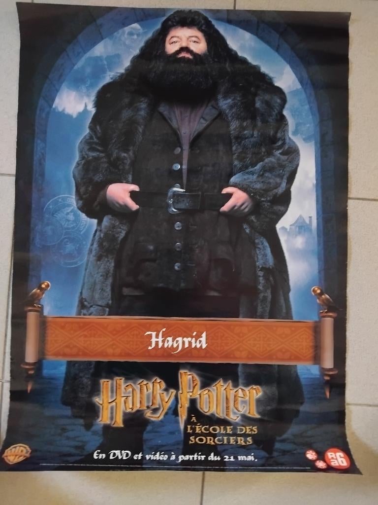 Magische Harry Potter Posters (Slechts €1 p/st), Ophalen, Zo goed als nieuw
