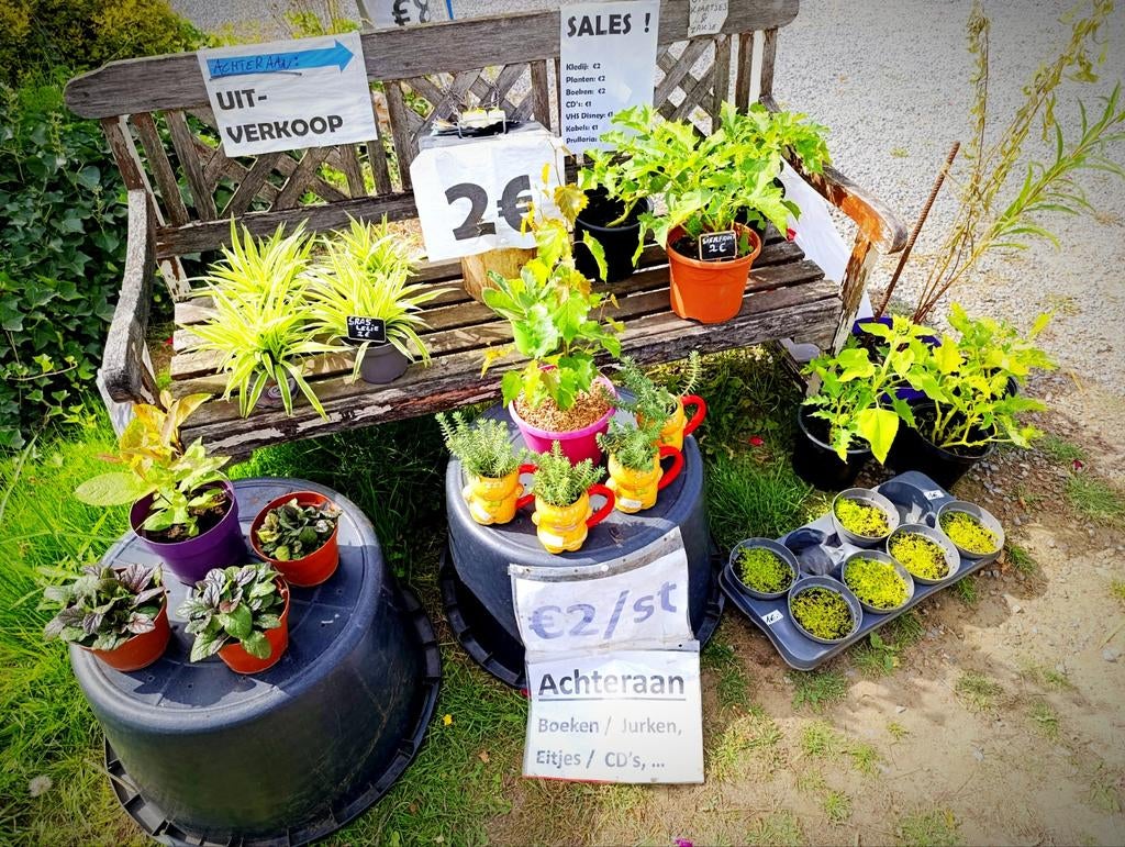 ALLES GRATIS! Gift naar Keuze mag, of Ruilen? Lees Beschrijv, Divers, Enlèvement, Comme neuf