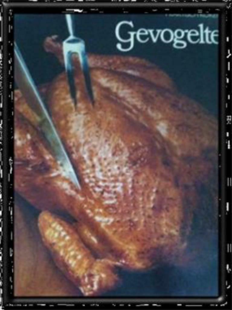 Gevogelte, Praktisch koken, Boeken, Ophalen of Verzenden, Gelezen, Hoofdgerechten