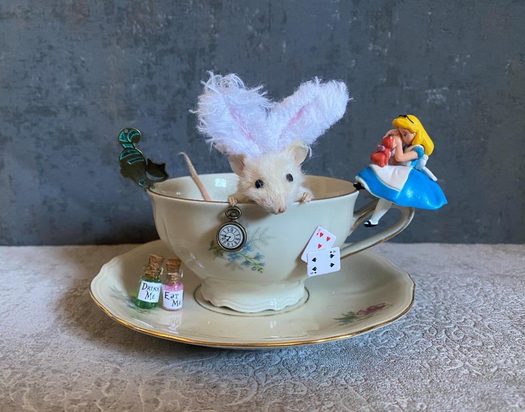 Opgezette muis - Alice in Wonderland taxidermie, Ophalen of Verzenden