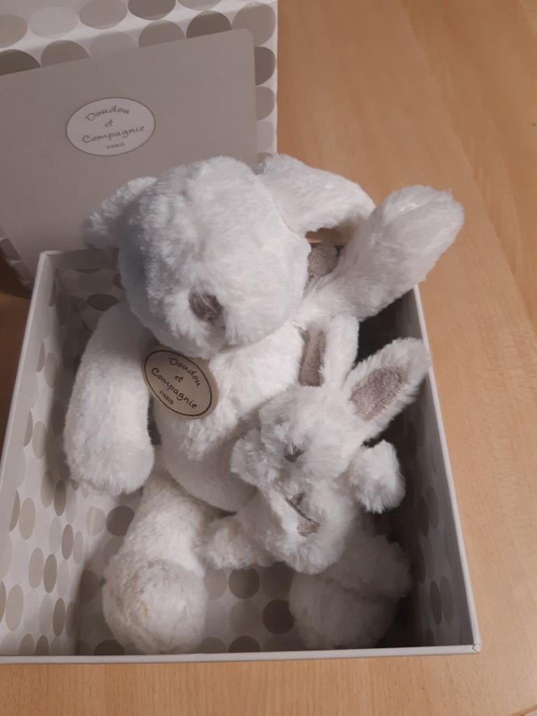 Lapin en peluche avec petit lapin musical, Enlèvement, Lapin