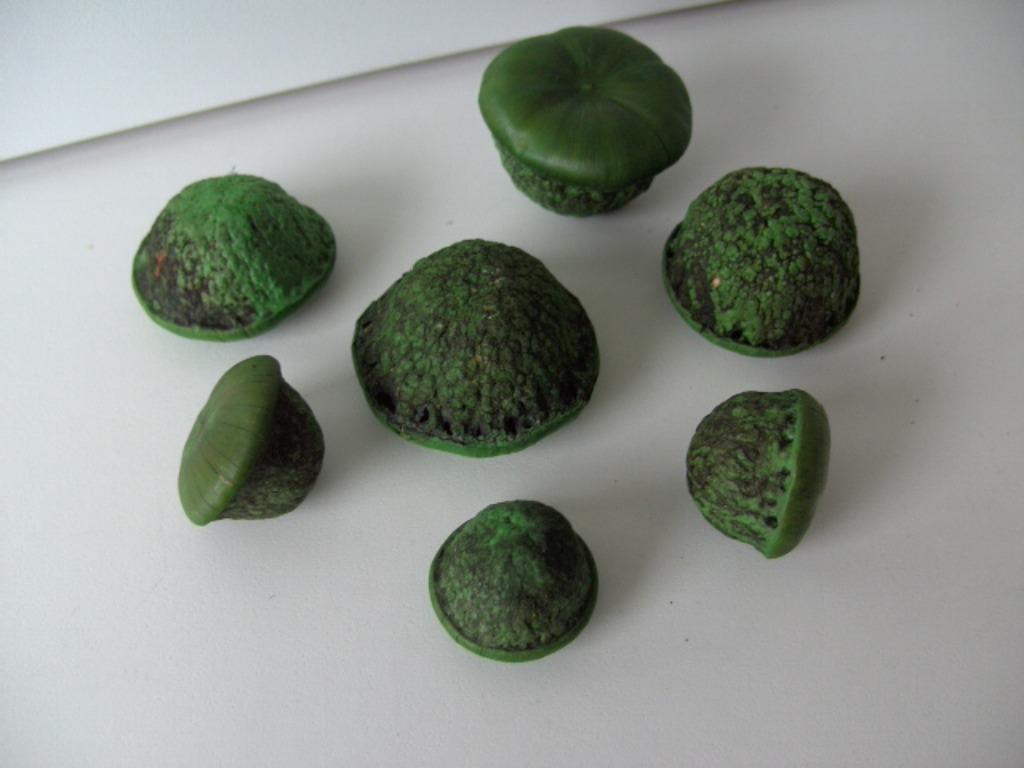 PADDESTOELEN DECORATIEF 16 KG (1200 stuks) Nieuw, Ophalen of Verzenden, Nieuw