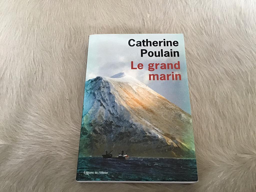 Le grand marin - Catherine Paulin, Ophalen of Verzenden, Zo goed als nieuw