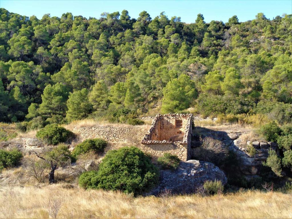 Finca in Maella (Aragón, Spanje) - 0671, Immo, Buitenland, Overige soorten, Spanje, Dorp