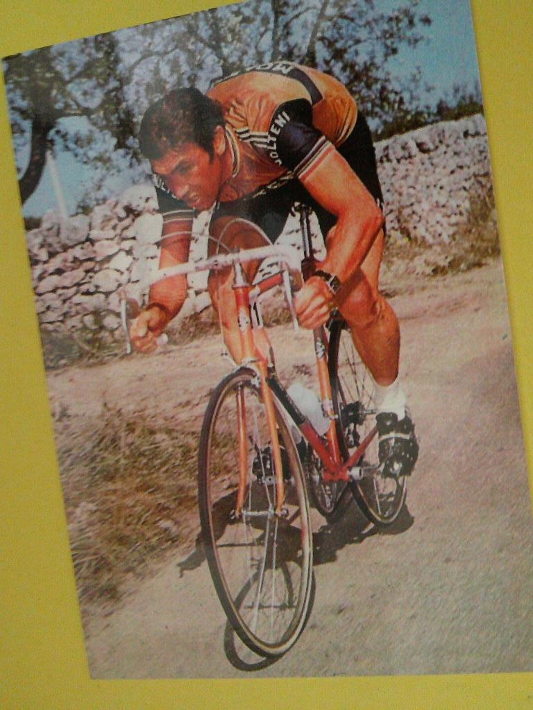 wielerkaart 1972 team molteni   eddy merckx, Verzenden, Zo goed als nieuw