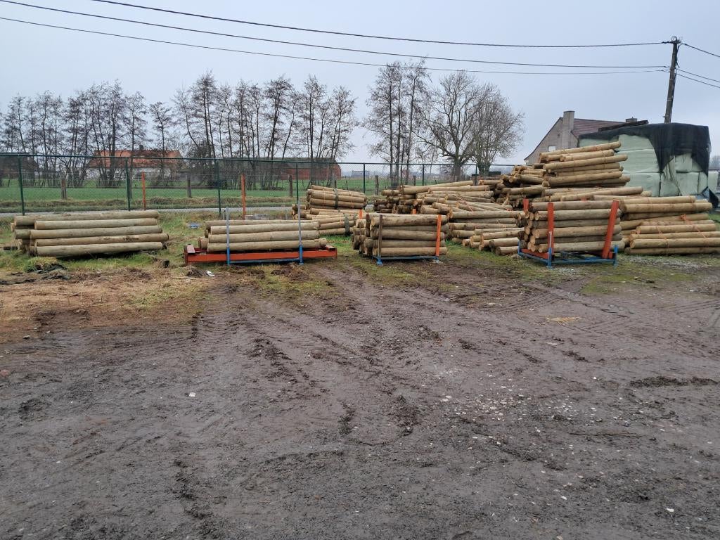 weidepalen, Dieren en Toebehoren, Weidegang