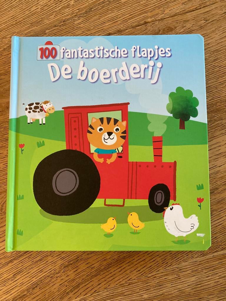 100 fantastische flapjes - Boerderij, Ophalen of Verzenden