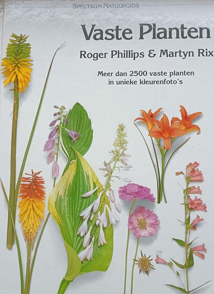 Boek "Vaste Planten", Enlèvement, Comme neuf, Jardinage et Plantes de jardin