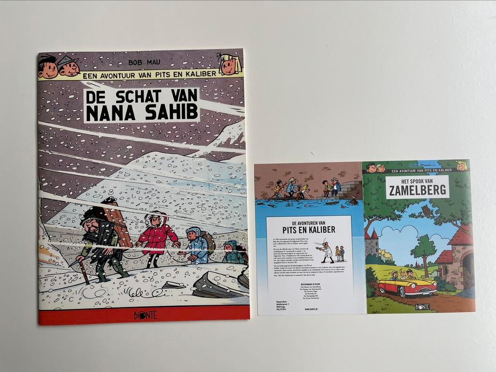 Pits en kaliber 037/200 de schat van nana sahib + kaart, Boeken, Ophalen of Verzenden