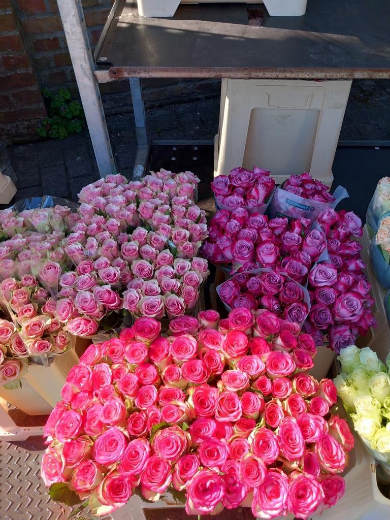 Qui peut faire des bouquets pour nous dans la boutique de De